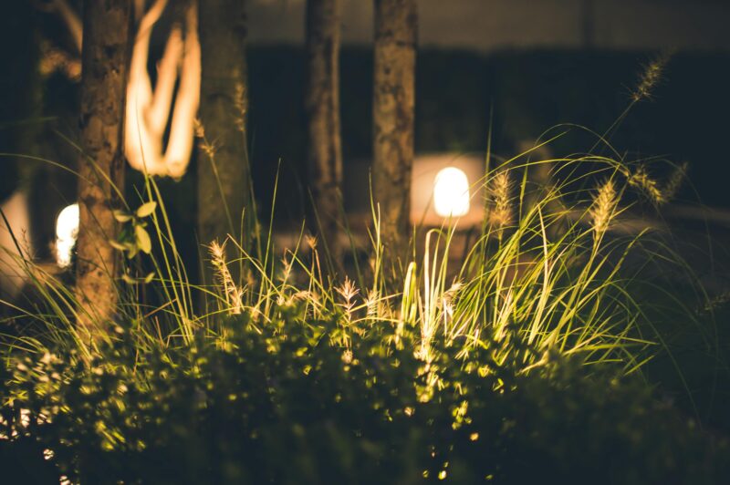 Night garden illuminated by pathway lights - Shop C2CLights.com.